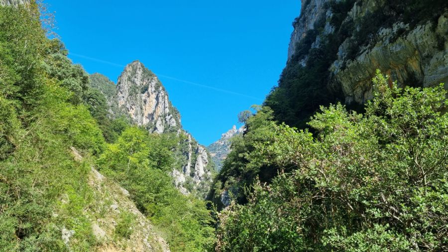 נקיק אניסקלו